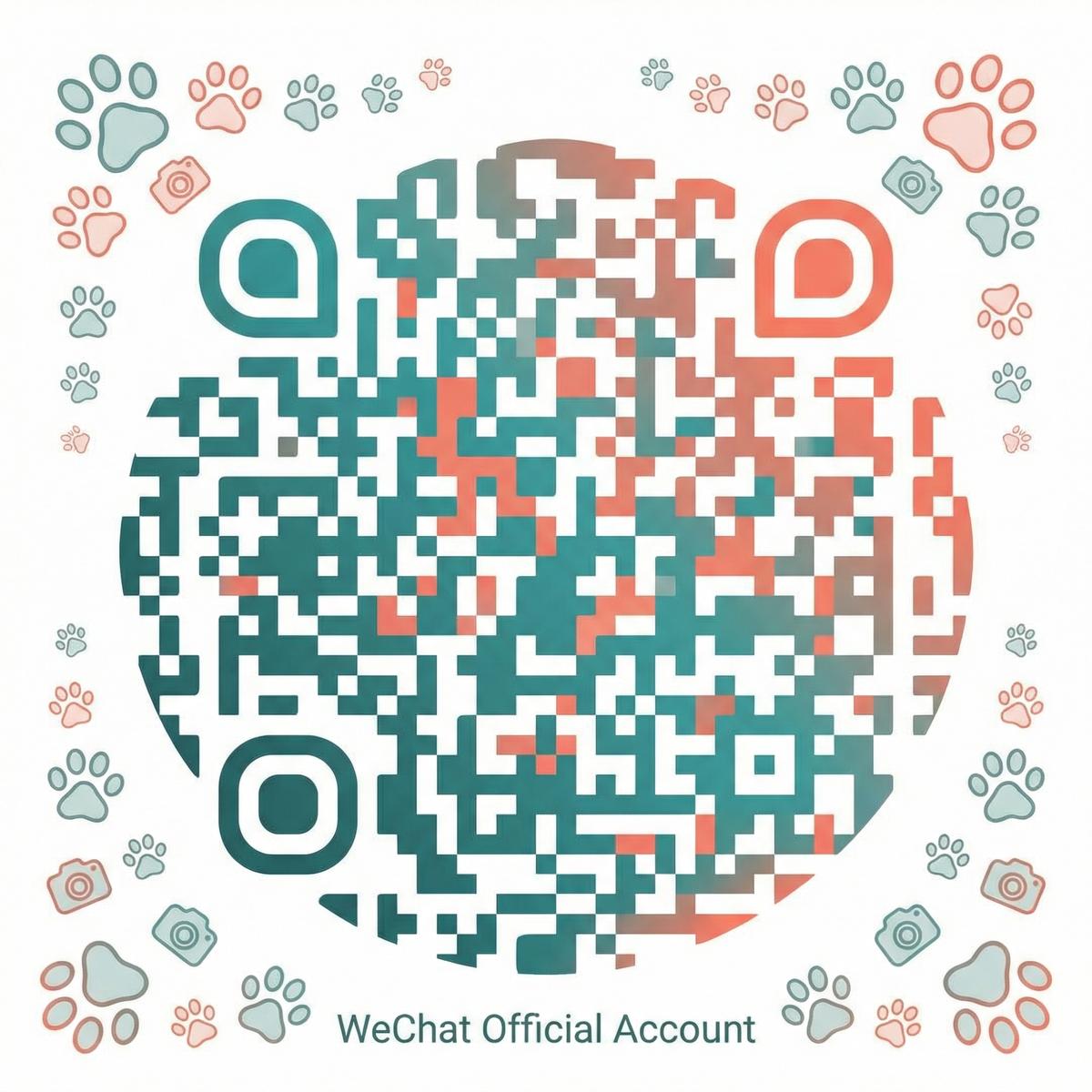 每日大赛公众号二维码